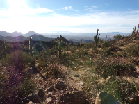 Hiking up Wasson Peak in Tucson, AZ